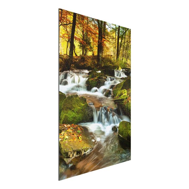Wandbilder Wasserfall herbstlicher Wald