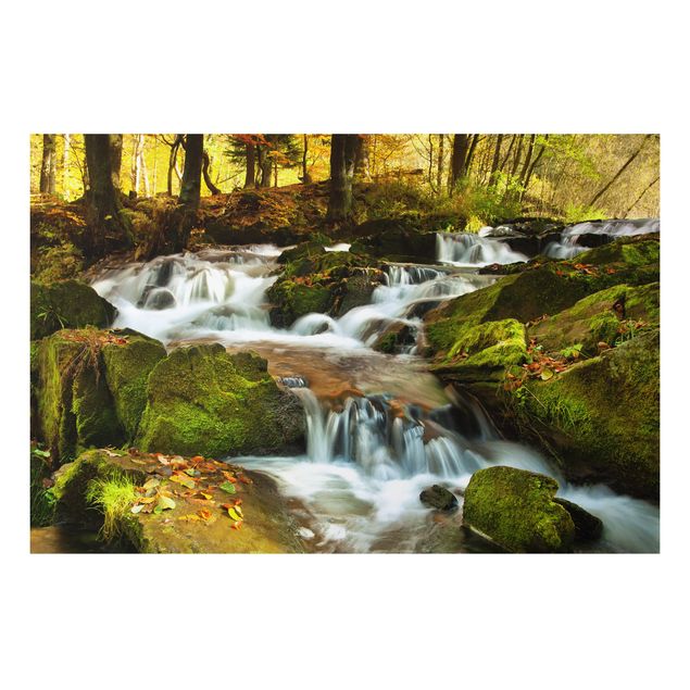Alu Dibond Bilder Wasserfall herbstlicher Wald