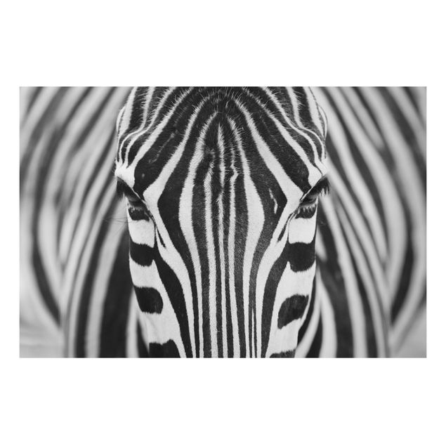 Bilder für die Wand Zebra Look
