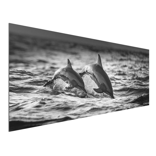 Bilder für die Wand Zwei springende Delfine