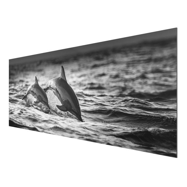 Foto auf Alu Dibond Zwei springende Delfine