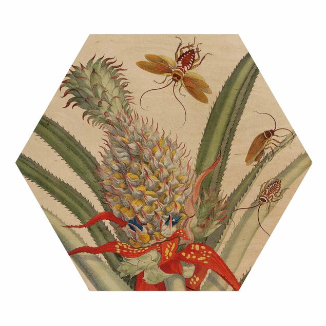 Kunstkopie Anna Maria Sibylla Merian - Ananas mit Insekten