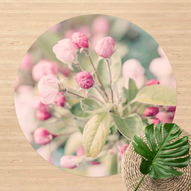 Teppiche Apfelblüte Bokeh rosa