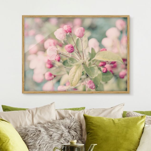 Wandbilder Apfelblüte Bokeh rosa