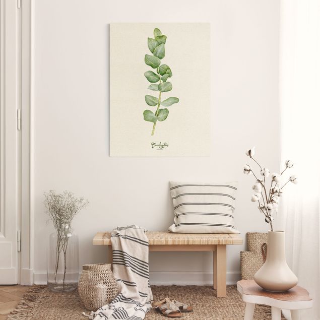 Kunstdrucke auf Leinwand Aquarell Botanik Eukalyptus