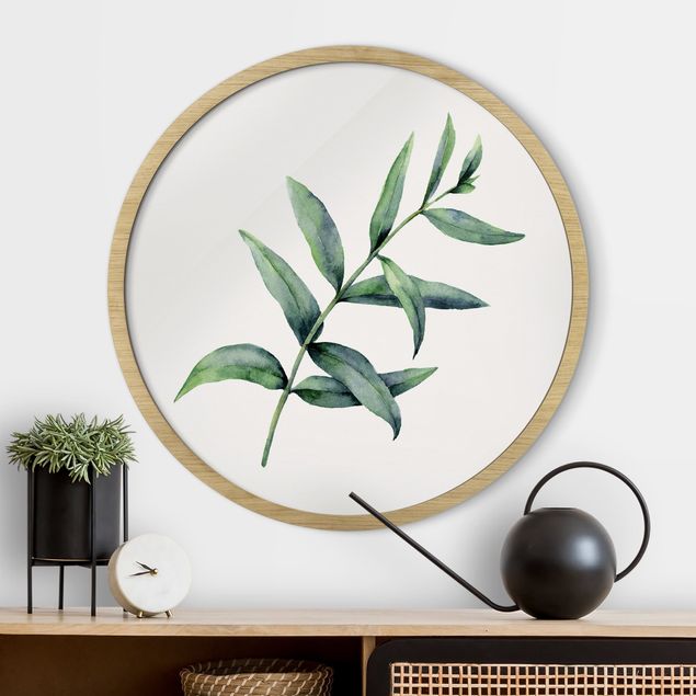Wandbild rund Aquarell Eucalyptus I