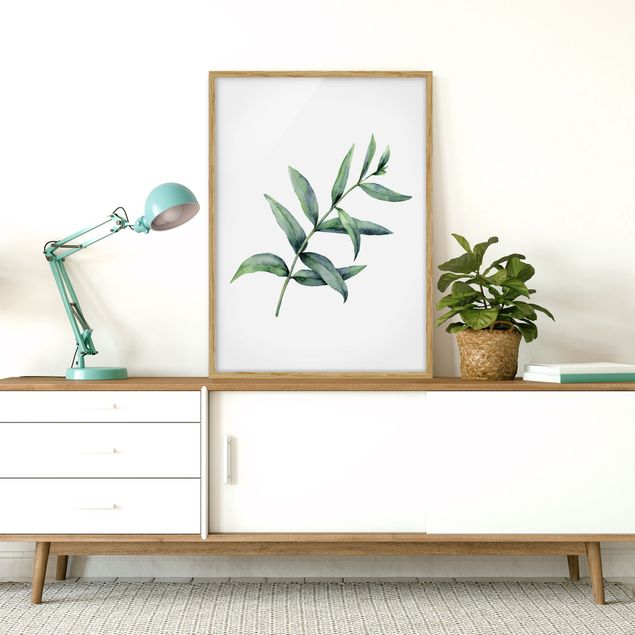 Wandbilder mit Rahmen Aquarell Eucalyptus I