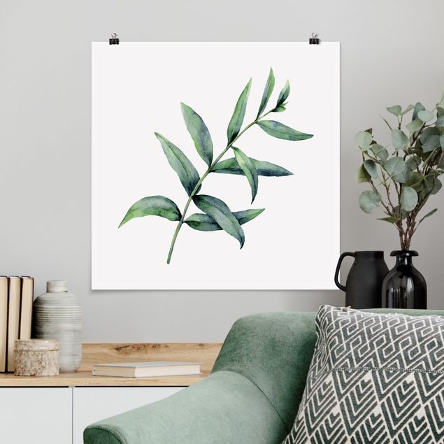 Poster Illustration Aquarell Eucalyptus I