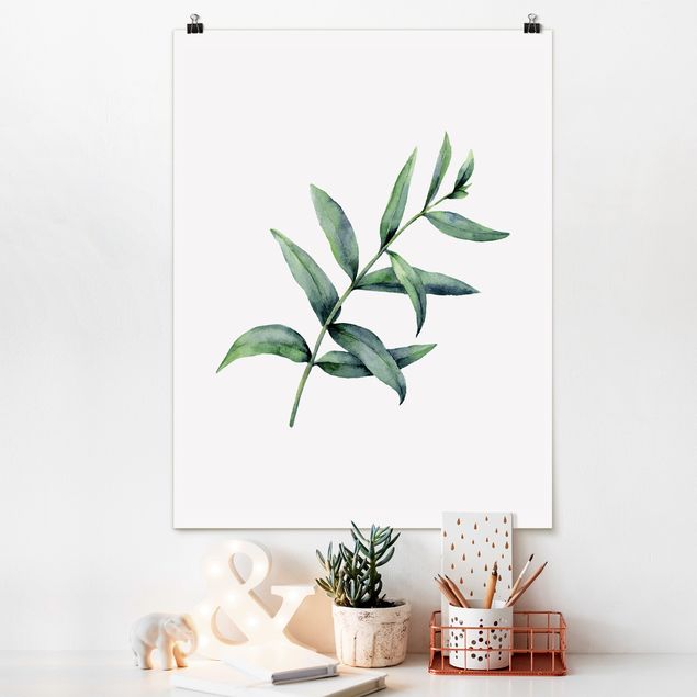 Poster Illustration Aquarell Eucalyptus I