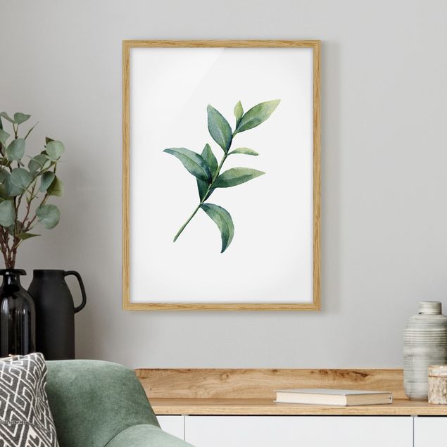 Schöne Wandbilder Aquarell Eucalyptus II