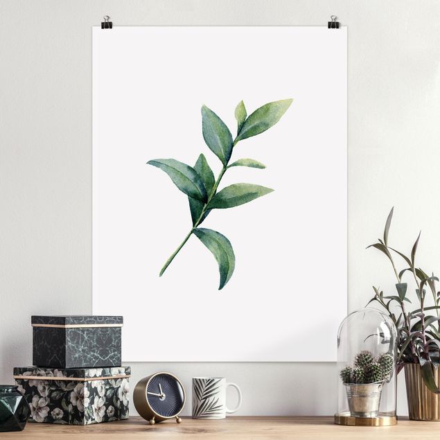 Poster Illustration Aquarell Eucalyptus II