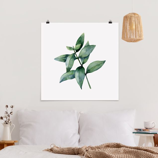 Poster Illustration Aquarell Eucalyptus III