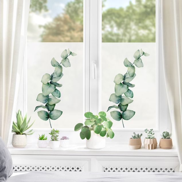 Fensterfolie Farbig Aquarell Eukalyptus