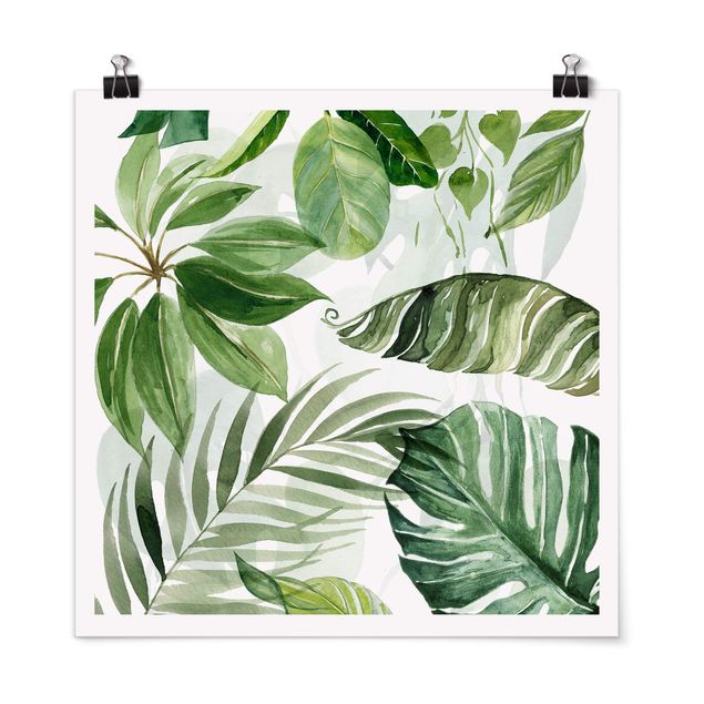 Wandbilder Aquarell Tropische Blätter und Ranken