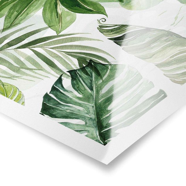 Poster - Aquarell Tropische Blätter und Ranken - Quadrat 1:1