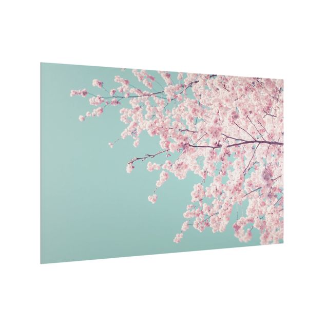 Spritzschutz Landhausstil Japanische Kirschblüte