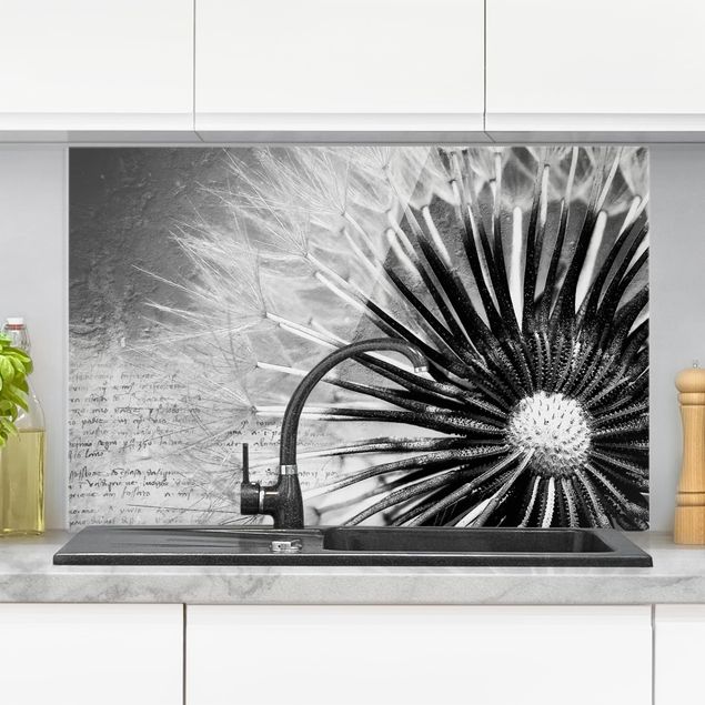 Spritzschutz Glas magnetisch Pusteblume Schwarz & Weiß