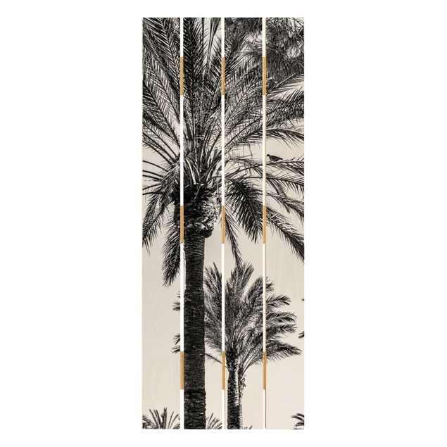 Wandbild Holz Palmen im Sonnenuntergang Schwarz-Weiß