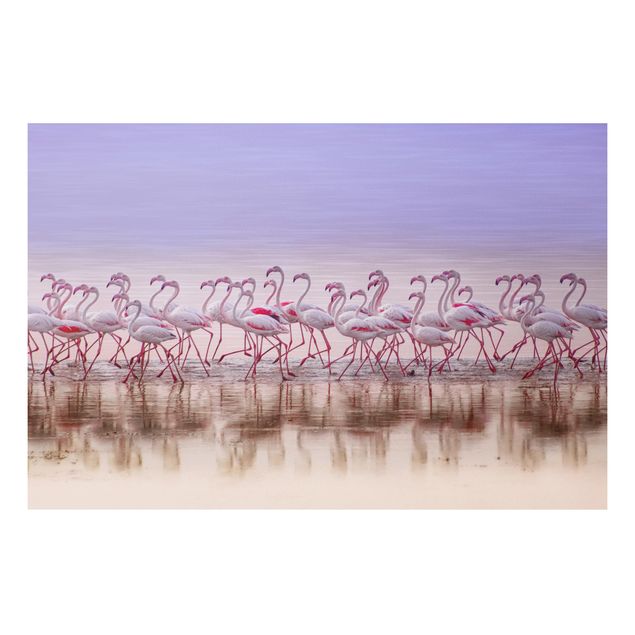 Bilder auf Hartschaumplatte Flamingo Party