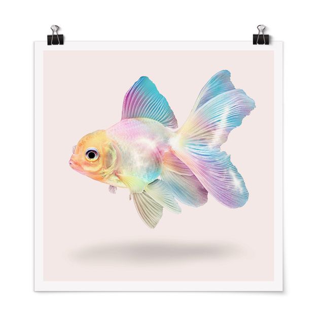 Tiere Poster Fisch in Pastell