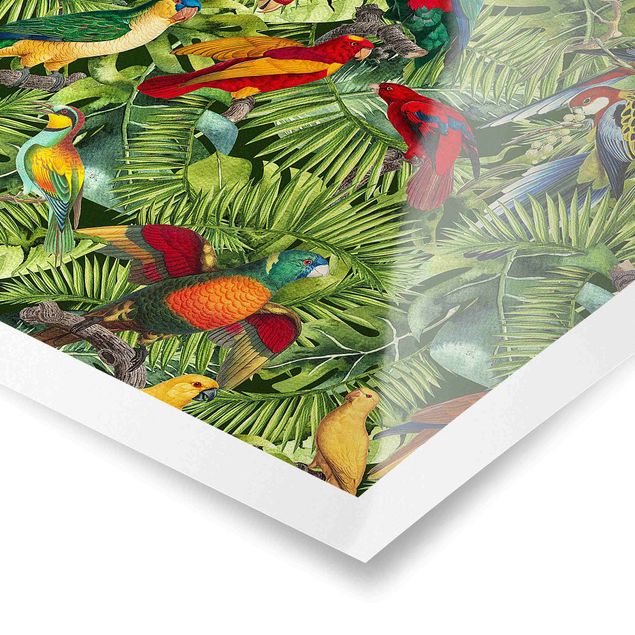 Schöne Wandbilder Bunte Collage - Papageien im Dschungel