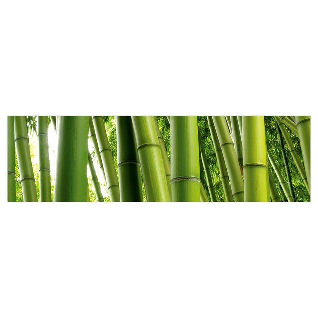 Küchenrückwand Grün Bamboo Trees