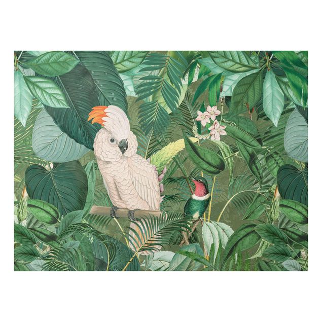 Wandbilder Vintage Collage - Kakadu und Kolibri