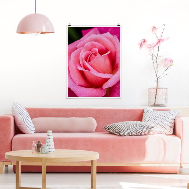 Bilder für die Wand Pinke Rosenblüte vor Grün