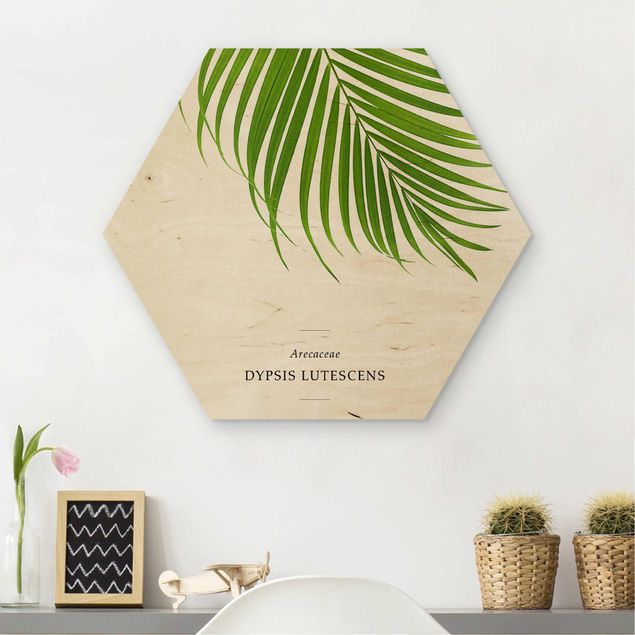 Moderne Holzbilder Tropisches Blatt Areca Palme