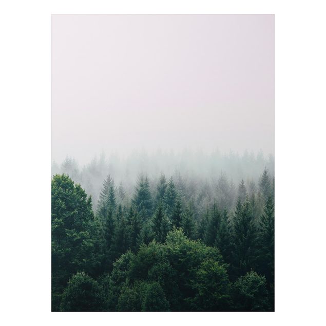 Alu Dibond Bilder Wald im Nebel Dämmerung