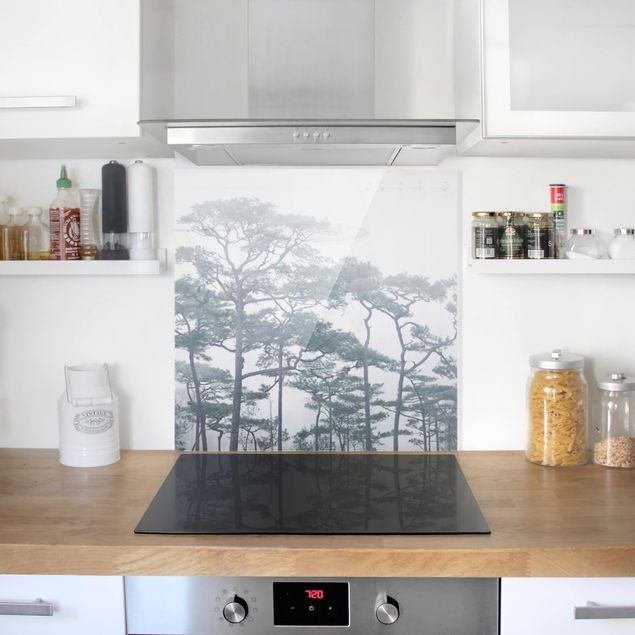 Küchenrückwand Glas Landschaft Baumkronen im Nebel