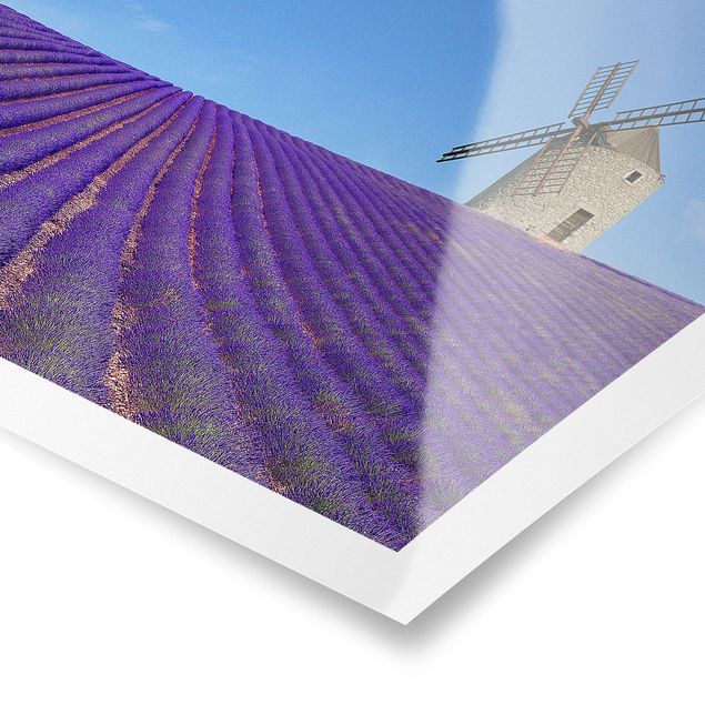 Poster - Lavendelduft in der Provence - Querformat 2:3