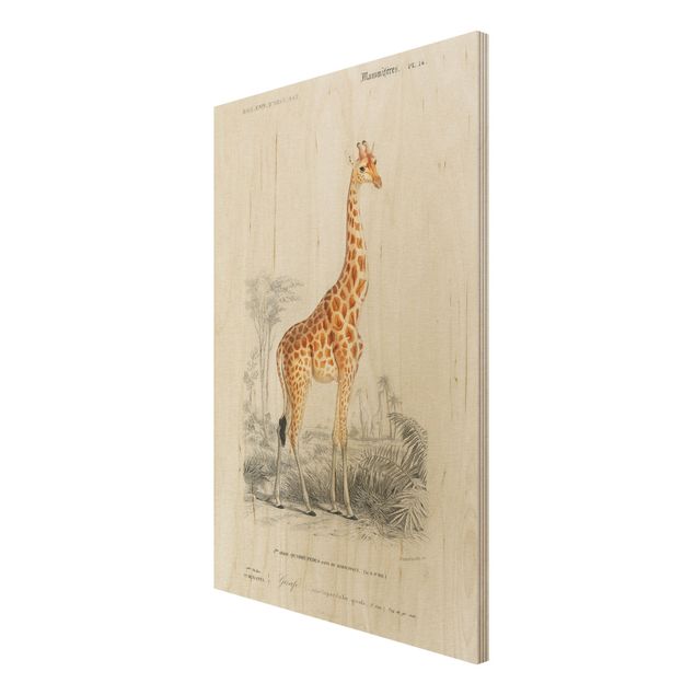 Bilder auf Holz Vintage Lehrtafel Giraffe