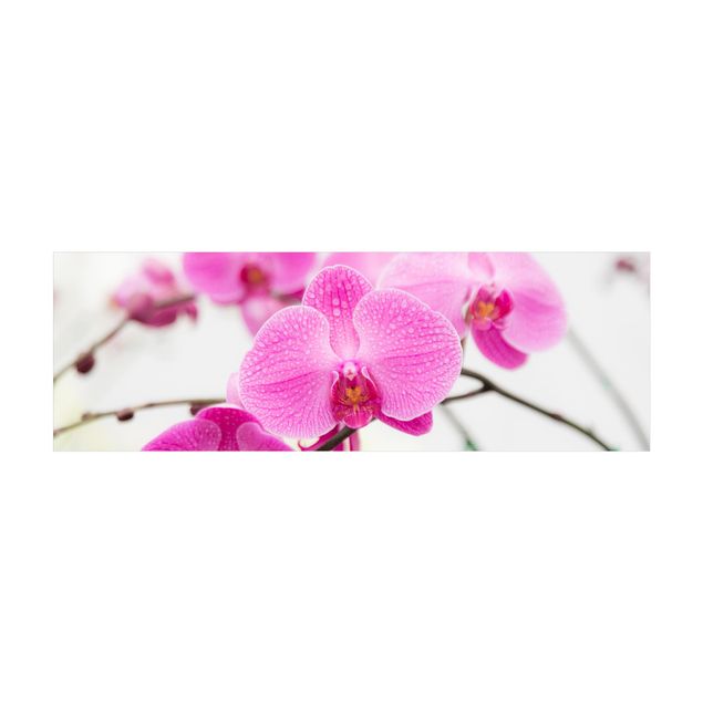 Teppich Blumen Nahaufnahme Orchidee