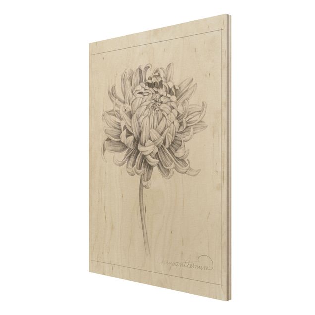 Moderne Holzbilder Botanische Studie Chrysantheme I