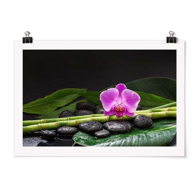 Poster - Grüner Bambus mit Orchideenblüte - Querformat 2:3