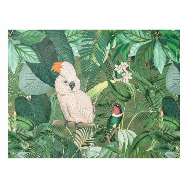 Foto auf Hartschaumplatte Vintage Collage - Kakadu und Kolibri