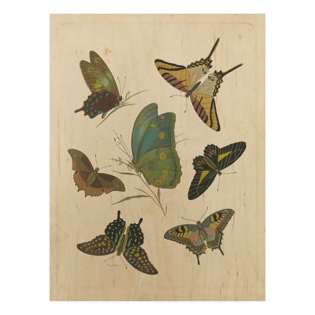 Moderne Holzbilder Vintage Illustration Exotische Schmetterlinge