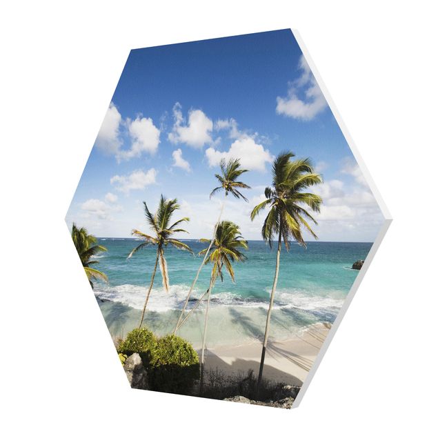Hexagon Bild Forex - Beach of Barbados