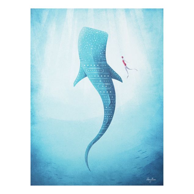 Wandbilder Tiere Der Walhai