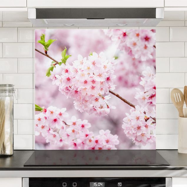 Spritzschutz Glas magnetisch Japanische Kirschblüten