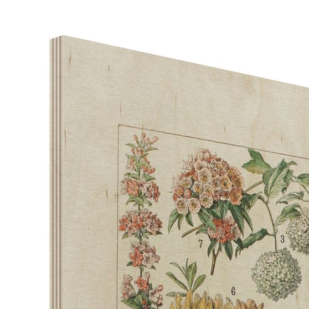Holzbild - Vintage Lehrtafel Blumen II - Hochformat 4:3