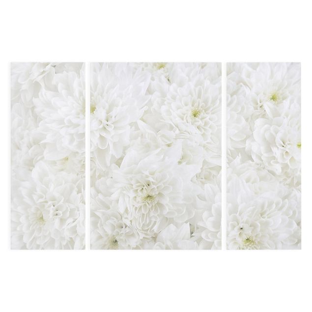 Leinwandbilder Dahlien Blumenmeer weiß