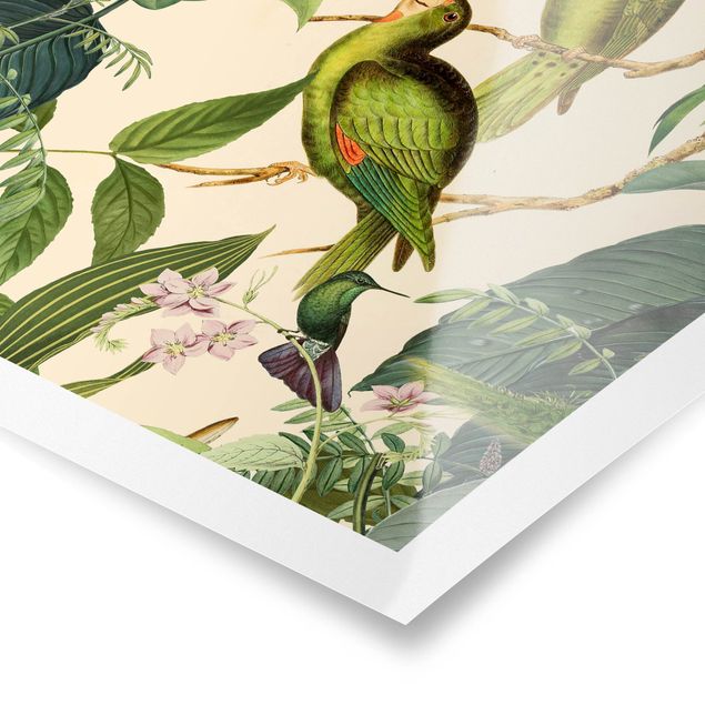 Poster kaufen Vintage Collage - Papageien im Dschungel