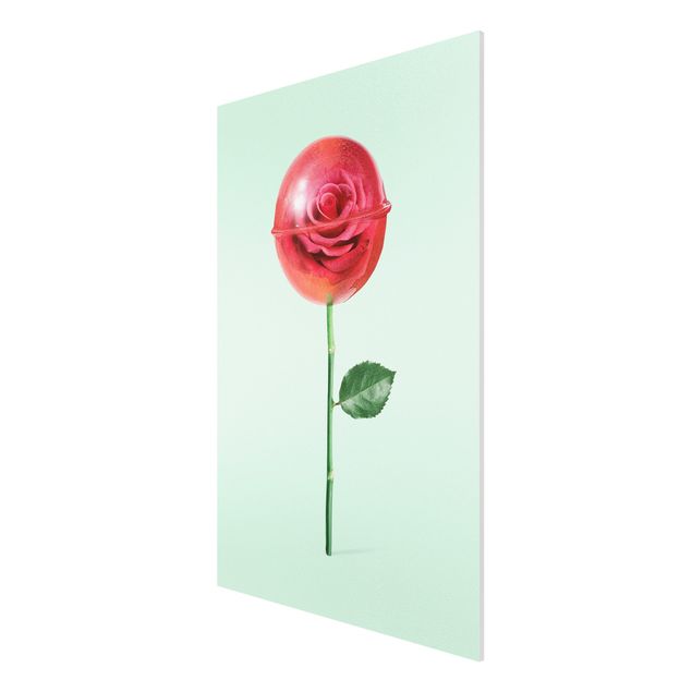 Forex Fine Art Print - Jonas Loose - Rose mit Lollipop - Hochformat 3:2