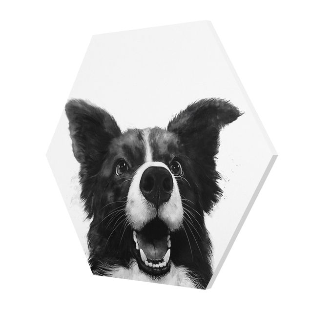 Hexagon Bild Forex - Illustration Hund Border Collie Schwarz Weiß Malerei