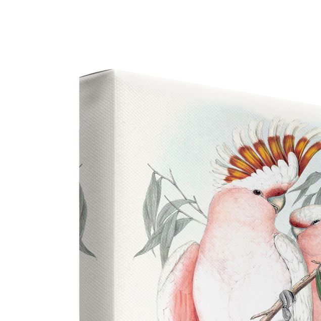 Schöne Wandbilder Pastell Papageien Set I