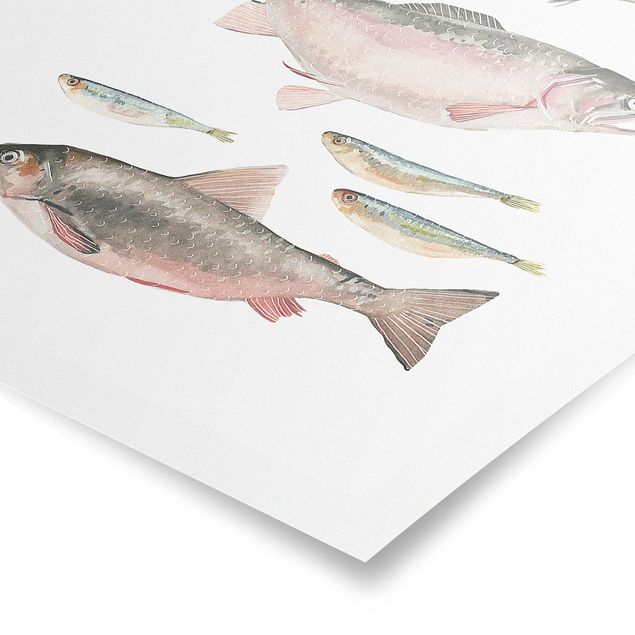 Bilder für die Wand Sieben Fische in Aquarell I