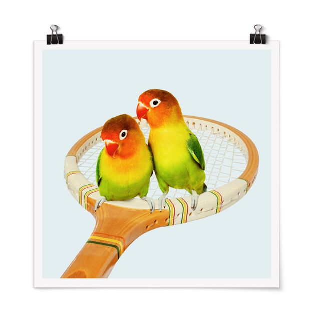 Poster Tiere Tennis mit Vögeln