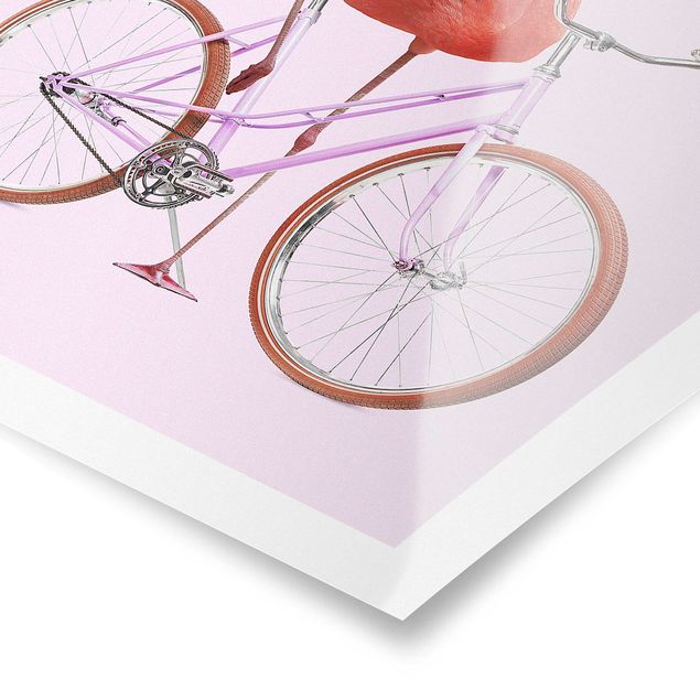 Poster bestellen Flamingo mit Fahrrad